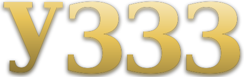 y333 logo
